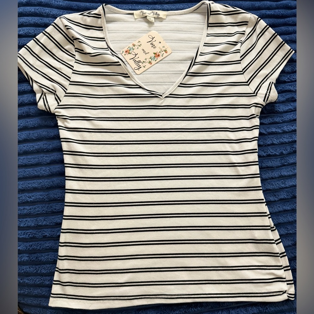 Navy Striped V-Neck Women's Tee